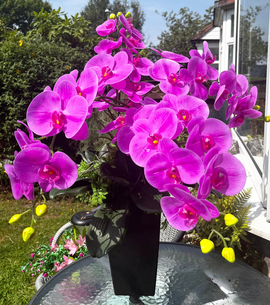 Purple Orchid Display